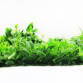 DIY design vert frais PE plantes artificielles à vendre
